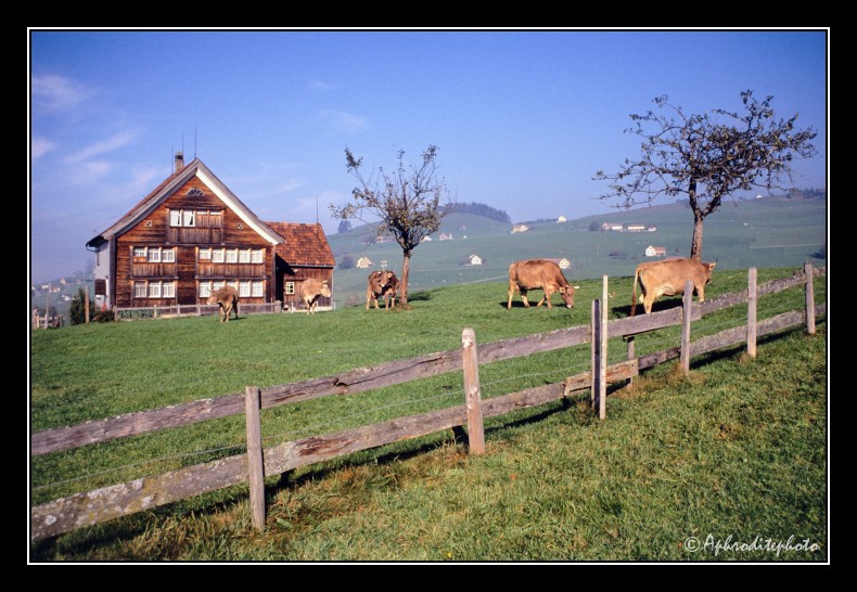 21 Typische Landschaft